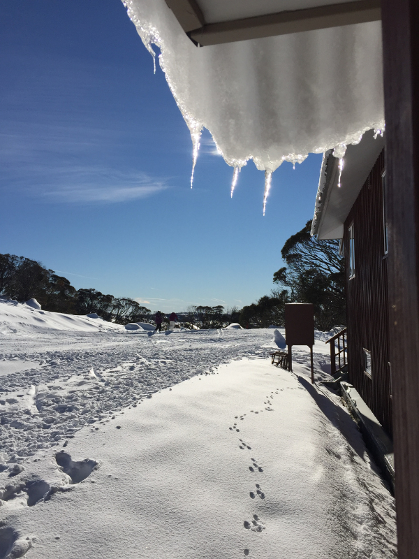 icicles at Highway Alpine